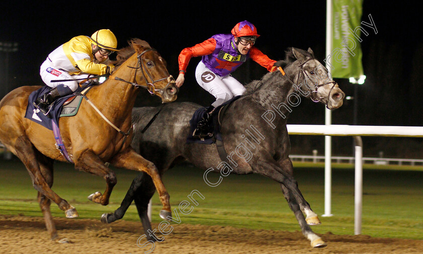 Rocket-Action-0003 
 ROCKET ACTION (Tom Queally) beats CORINTHIA KNIGHT (left) in The Betway Handicap
Wolverhampton 26 Nov 2019 - Pic Steven Cargill / Racingfotos.com