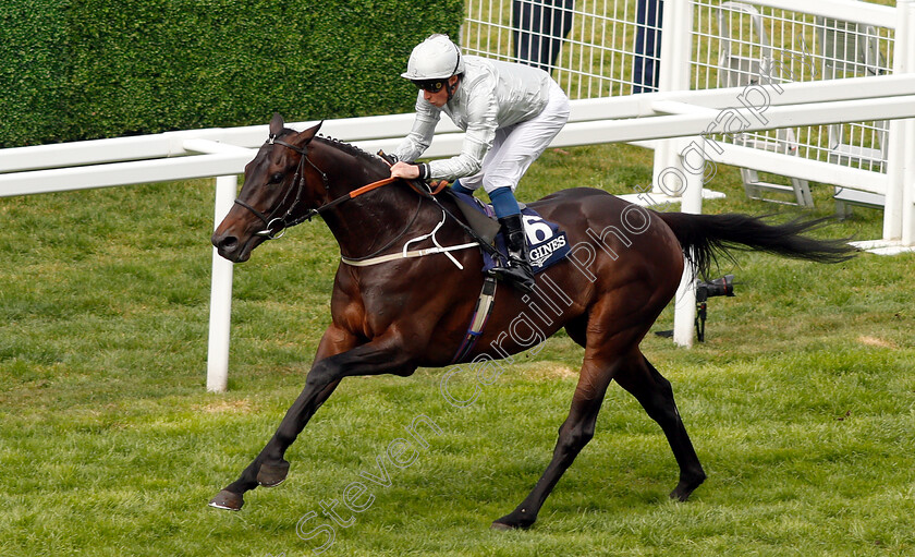 Dee-Ex-Bee-0005 
 DEE EX BEE (William Buick) wins The Longines Sagaro Stakes
Ascot 1 May 2019 - Pic Steven Cargill / Racingfotos.com