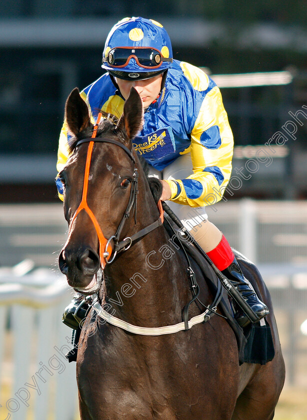 Anna-Of-Sussex-0001 
 ANNA OF SUSSEX (Andrea Atzeni)
Newbury 20 Sep 2019 - Pic Steven Cargill / Racingfotos.com