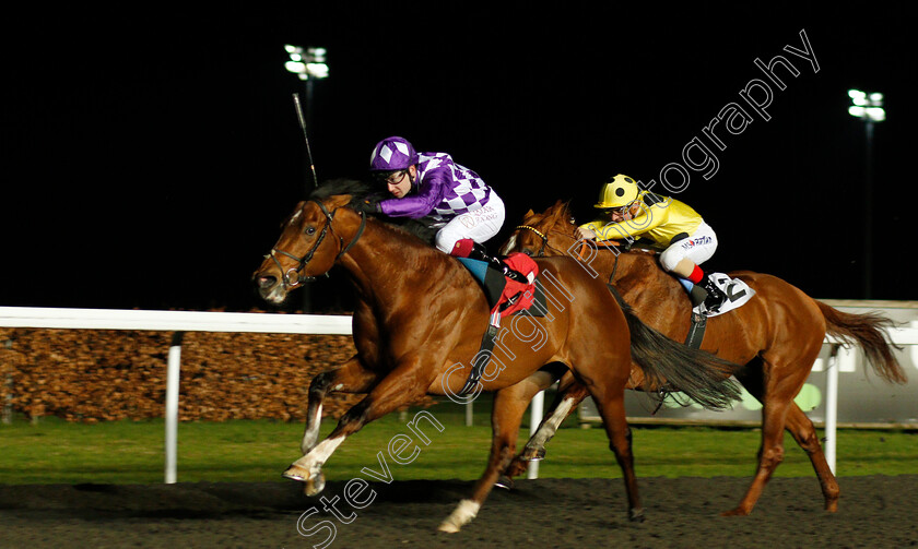 Godhead-0002 
 GODHEAD (Oisin Murphy) wins The 32Red Casino Novice Stakes
Kempton 17 Feb 2020 - Pic Steven Cargill / Racingfotos.com