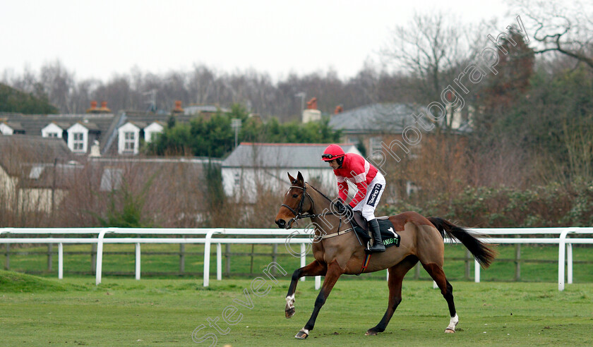 Laurina-0001 
 LAURINA (Ruby Walsh) winner of The Unibet Mares Hurdle
Sandown 5 Jan 2019 - Pic Steven Cargill / Racingfotos.com