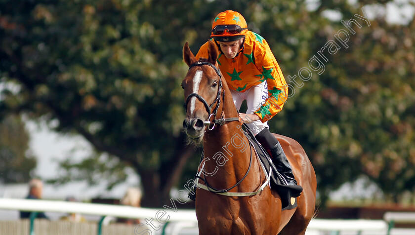 Hope-You-Can-Run-0001 
 HOPE YOU CAN RUN (Ryan Moore)
Newmarket 22 Sep 2022 - Pic Steven Cargill / Racingfotos.com