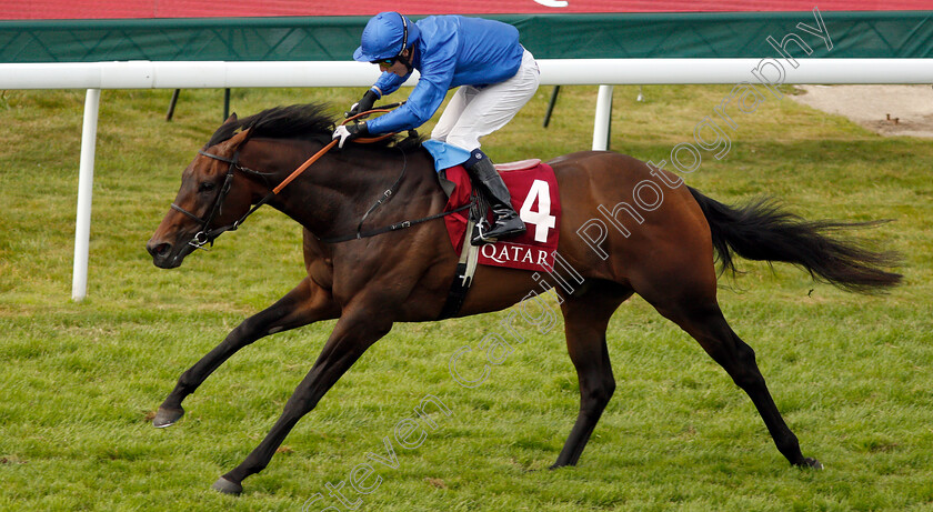 Gifts-Of-Gold-0005 
 GIFTS OF GOLD (Cieren Fallon) wins The Qatar Apprentice Handicap
Goodwood 3 Aug 2019 - Pic Steven Cargill / Racingfotos.com