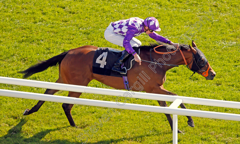 Separate-0006 
 SEPARATE (James Doyle) wins The Dubai Duty Free Nursery
Newbury 20 Spe 2019 - Pic Steven Cargill / Racingfotos.com