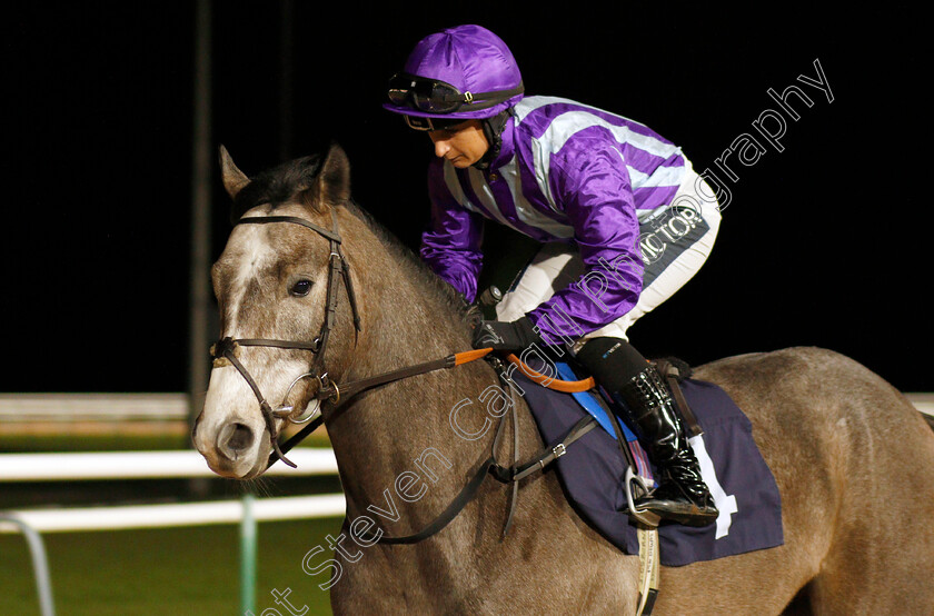 Mr-Terry-0001 
 MR TERRY (Nicola Currie)
Southwell 15 Jan 2020 - Pic Steven Cargill / Racingfotos.com