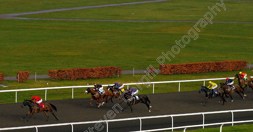 Jai-Hanuman-0002 
 JAI HANUMAN (Franny Norton) wins The Matchbook Time To Move Over Handicap
Kempton 6 Mar 2019 - Pic Steven Cargill / Racingfotos.com