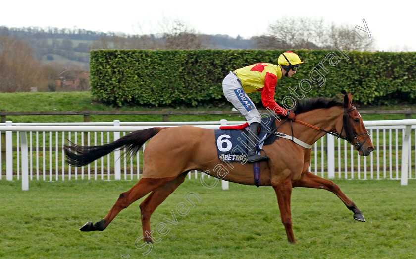 Triple-Trade-0001 
 TRIPLE TRADE (Brendan Powell)
Cheltenham 14 Dec 2024 - Pic Steven Cargill / Racingfotos.com