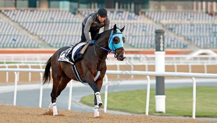 Final-Dance-0002 
 FINAL DANCE training at Meydan, Dubai
2 Feb 2023 - Pic Steven Cargill / Racingfotos.com