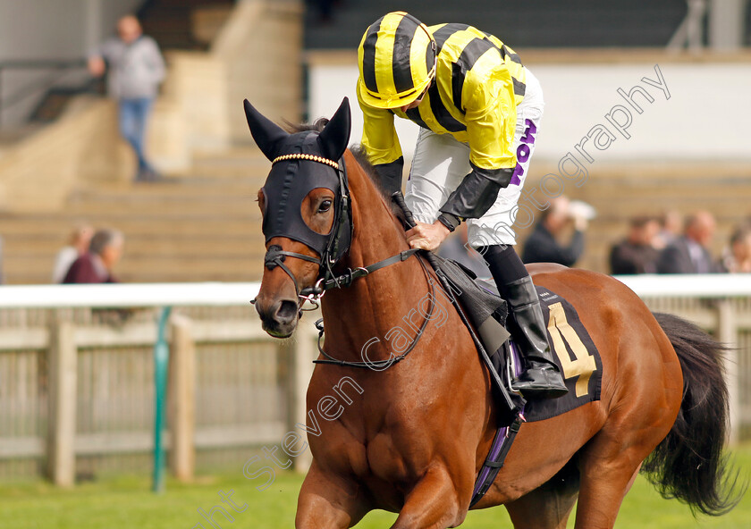 Bjorn-Ironside-0001 
 BJORN IRONSIDE (Kieran Shoemark)
Newmarket 28 Sep 2023 - Pic Steven Cargill / Racingfotos.com