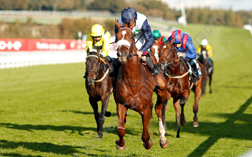 Juan-De-Montalban-0004 
 JUAN DE MONTALBAN (Oisin Murphy) wins The Download The tote Placepot App EBF Novice Stakes
Goodwood 11 Oct 2020 - Pic Steven Cargill / Racingfotos.com