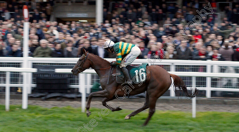 Time-Flies-By-0005 
 TIME FLIES BY (Barry Geraghty) wins The Royal Gloucestershire Hussars Standard Open National Hunt Flat Race
Cheltenham 26 Oct 2019 - Pic Steven Cargill / Racingfotos.com