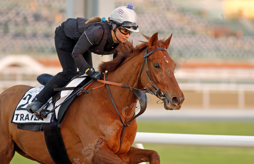 Traila-0001 
 TRAILA training at the Dubai World Cup Carnival
Meydan 5 Jan 2023 - Pic Steven Cargill / Racingfotos.com