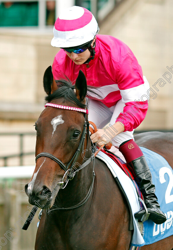 Amanzoe 
 AMANZOE (Cieren Fallon)
Newmarket 8 Oct 2021 - Pic Steven Cargill / Racingfotos.com