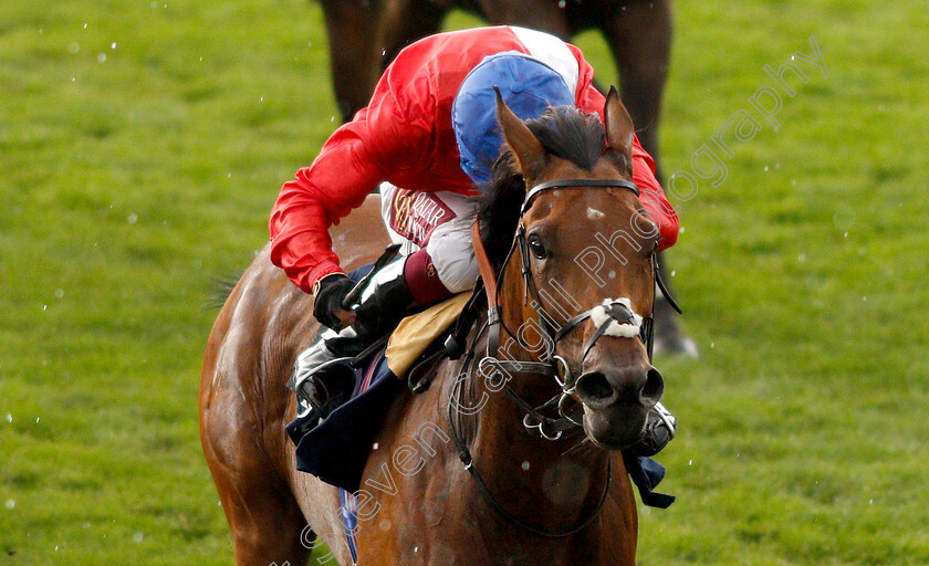 Veracious-0011 
 VERACIOUS (Oisin Murphy) wins The Tattersalls Falmouth Stakes
Newmarket 12 Jul 2019 - Pic Steven Cargill / Racingfotos.com