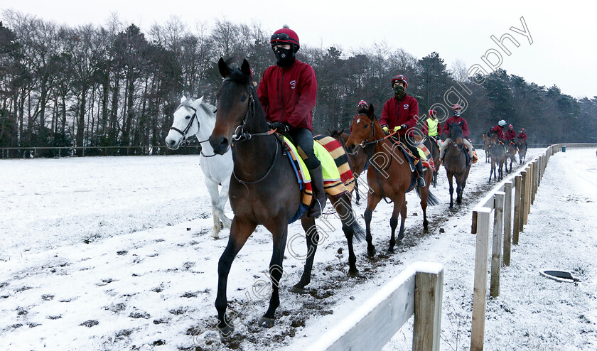 Newmarket-Snow-0003 
 Racehorses training in the snow at Newmarket
1 Feb 2019 - Pic Steven Cargill / Racingfotos.com