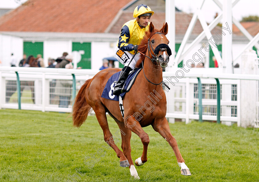 Willow-Brook-0001 
 WILLOW BROOK (Silvestre De Sousa) Yarmouth 24 Apr 2018 - Pic Steven Cargill / Racingfotos.com