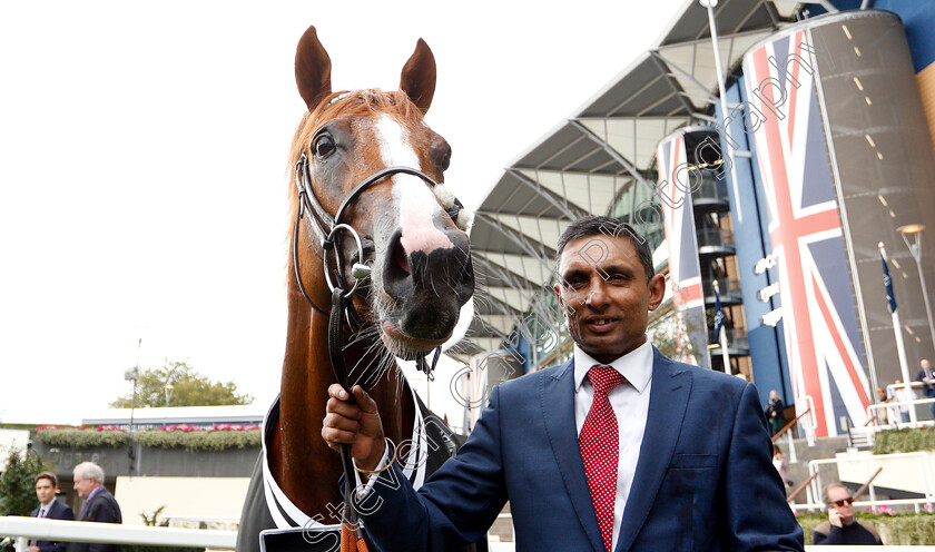 Tabdeed-0007 
 TABDEED after The Original Harrogate Water Handicap
Ascot 5 Oct 2018 - Pic Steven Cargill / Racingfotos.com