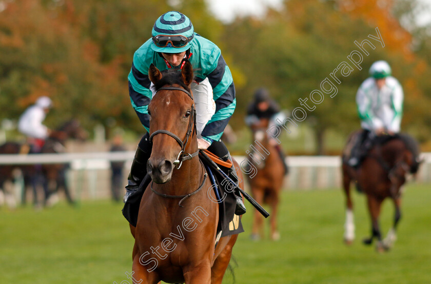 Mildyjama-0002 
 MILDYJAMA (Rossa Ryan)
Newmarket 19 Oct 2022 - Pic Steven Cargill / Racingfotos.com