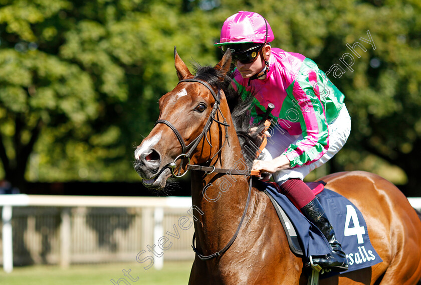 Prosperous-Voyage-0001 
 PROSPEROUS VOYAGE (Rob Hornby) winner of The Tattersalls Falmouth Stakes
Newmarket 8 Jul 2022 - Pic Steven Cargill / Racingfotos.com