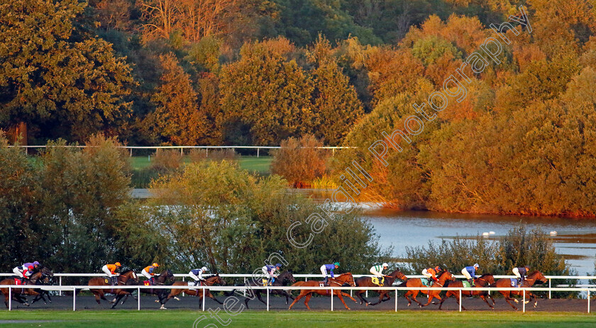 Kempton-0002 
 ROCKIT TOMMY (13 blue, David Probert) in mid pack on his way to winning The Highclere Castle Feeds Handicap
Kempton 2 Oct 2024 - Pic Steven Cargill / Racingfotos.com