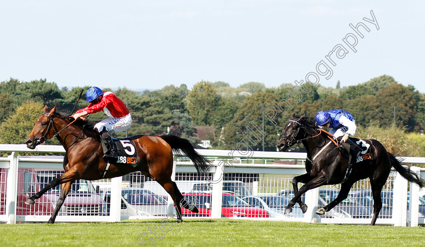 Veracious-0004 
 VERACIOUS (Ryan Moore) beats AWESOMETANK (right) in The 188bet Casino Atalanta Stakes
Sandown 1 Sep 2018 - Pic Steven Cargill / Racingfotos.com