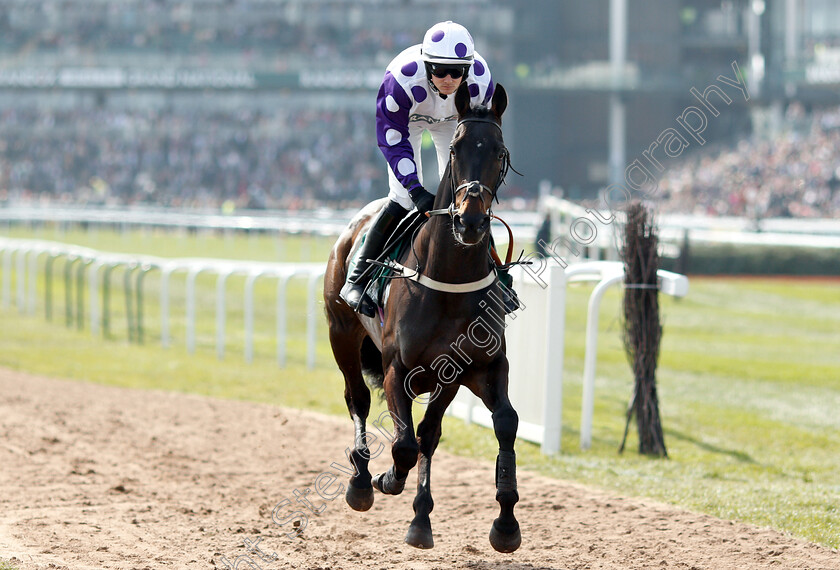 Canyon-City-0001 
 CANYON CITY (Jack Quinlan)
Aintree 6 Apr 2019 - Pic Steven Cargill / Racingfotos.com