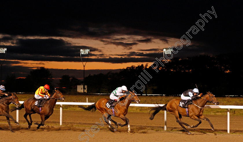 Alminoor-0002 
 ALMINOOR (Jason Hart) beats SIDEREAL (centre) in The tote.co.uk Free Streaming Every UK Race Handicap
Chelmsford 15 Oct 2020 - Pic Steven Cargill / Racingfotos.com