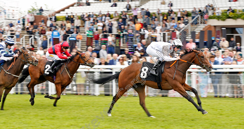 Hettie-Jack-0003 
 HETTIE JACK (Darragh Keenan) wins The William Hill Lengthen Your Odds Selling Stakes
Goodwood 9 Jun 2024 - pic Steven Cargill / Racingfotos.com