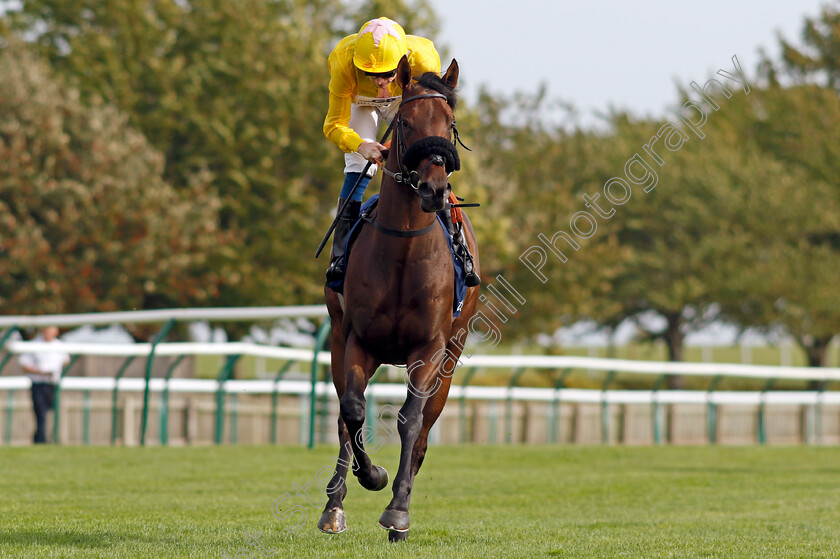 Lieutenant-Rascal-0002 
 LIEUTENANT RASCAL (Callum Shepherd)
Newmarket 7 Oct 2023 - Pic Steven Cargill / Racingfotos.com