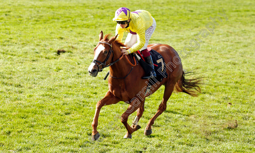 Golden-Lyra-0004 
 GOLDEN LYRA (Cieren Fallon) wins The Prestige Vehicles British EBF Fillies Novice Stakes Div2
Newmarket 30 Oct 2021 - Pic Steven Cargill / Racingfotos.com