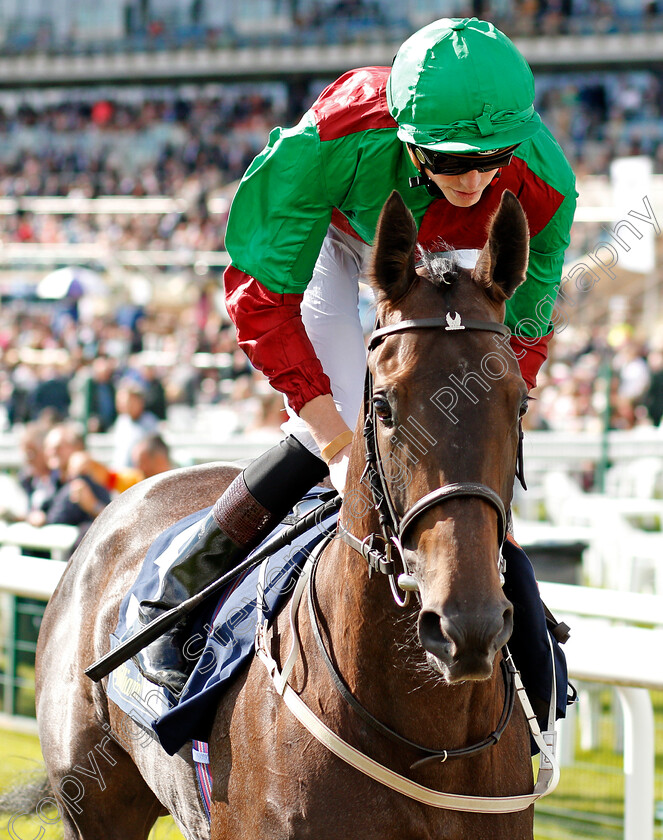 Nyaleti-0001 
 NYALETI (James Doyle) Doncaster 14 Sep 2017 - Pic Steven Cargill / Racingfotos.com