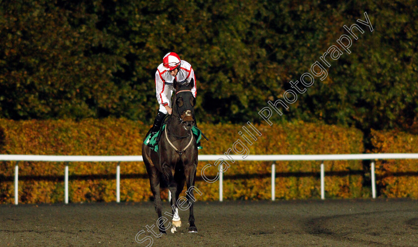 Noble-Masquerade 
 NOBLE MASQUERADE (Ryan Moore)
Kempton 10 Nov 2021 - Pic Steven Cargill / Racingfotos.com