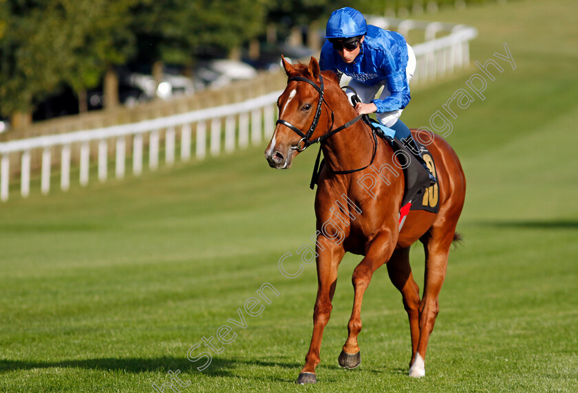 Watching-Stars-0002 
 WATCHING STARS (William Buick)
Newmarket 9 Aug 2024 - Pic Steven Cargill / Racingfotos.com