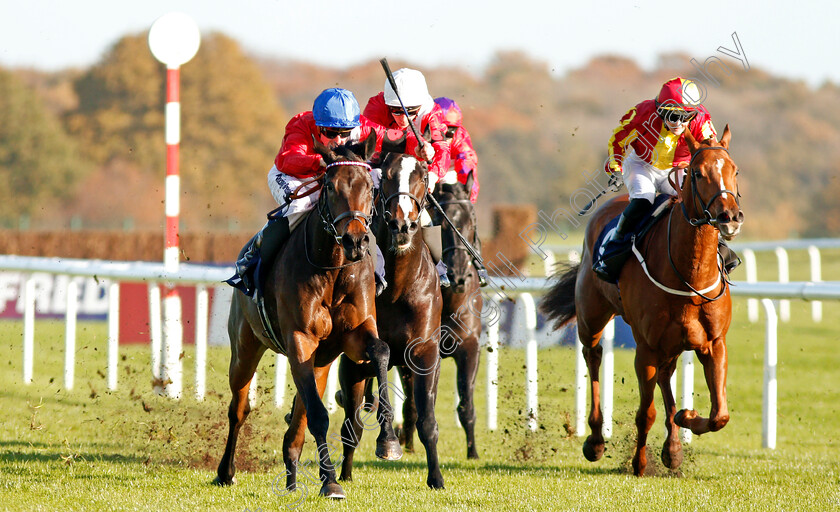 Tallow-0001 
 TALLOW (left, Jim Crowley) wins The Betfred Mobile Cock O'The North EBF Maiden Stakes Div2 Doncaster 11 Nov 2017 - Pic Steven Cargill / Racingfotos.com