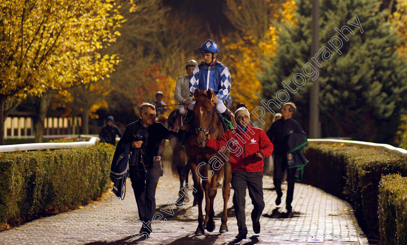 Elsaakb-0004 
 ELSAAKB (Nicky Mackay) after The 32Red.com Nursery Kempton 8 Nov 2017 - Pic Steven Cargill / Racingfotos.com