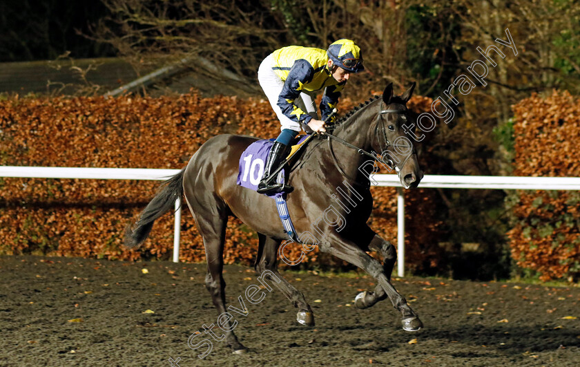 Surrey-Force-0001 
 SURREY FORCE (Callum Shepherd)
Kempton 13 Dec 2023 - Pic Steven Cargill / Racingfotos.com