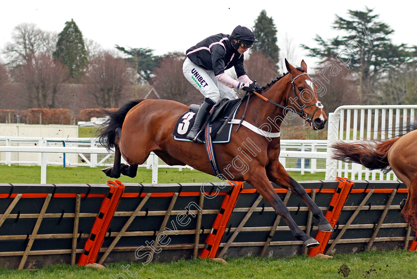 Gallyhill-0002 
 GALLYHILL (Nico de Boinville) 
Ascot 20 Feb 2021 - Pic Steven Cargill / Racingfotos.com