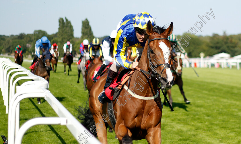 He s-A-Latchico-0001 
 HE'S A LATCHICO (Tom Queally) wins The Davies Group Handicap
Sandown 7 Jul 2023 - Pic Steven Cargill / Racingfotos.com