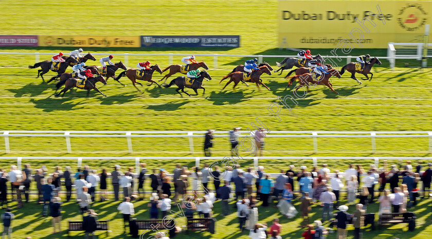 Brorocco-0005 
 BROROCCO (David Probert) wins The Dubai Duty Free Handicap Newbury 23 Sep 2017 - Pic Steven Cargill / Racingfotos.com