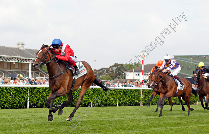 Inspiral-0002 
 INSPIRAL (Frankie Dettori) wins The Cazoo May Hill Stakes
Doncaster 9 Sep 2021 - Pic Steven Cargill / Racingfotos.com