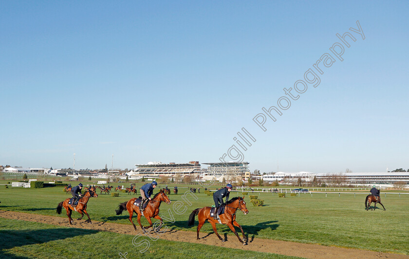 Teahupoo-0001 
 TEAHUPOO leads AMERICAN MIKE (centre) at exercise on the eve of the Cheltenham Festival
Cheltenham 14 Mar 2022 - Pic Steven Cargill / Racingfotos.com