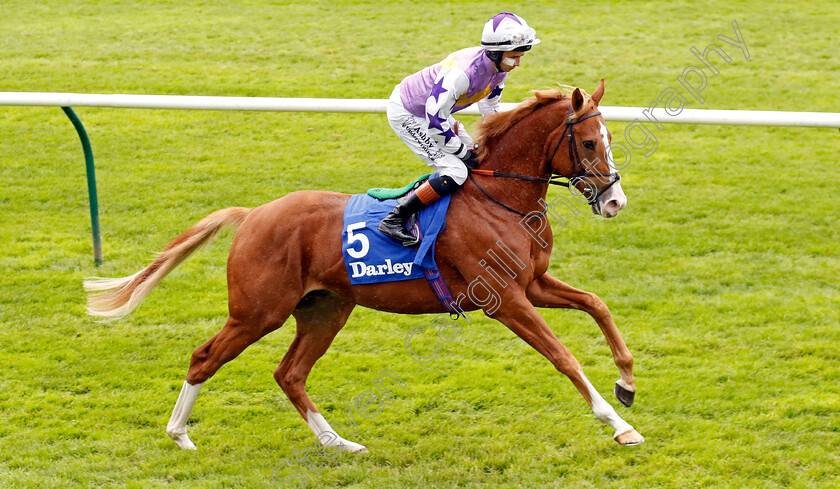 Starzintheireyes-0005 
 STARZINTHEIREYES (Rossa Ryan) winner of The Zetland Stakes
Newmarket 12 Oct 2024 - Pic Steven Cargill / Racingfotos.com