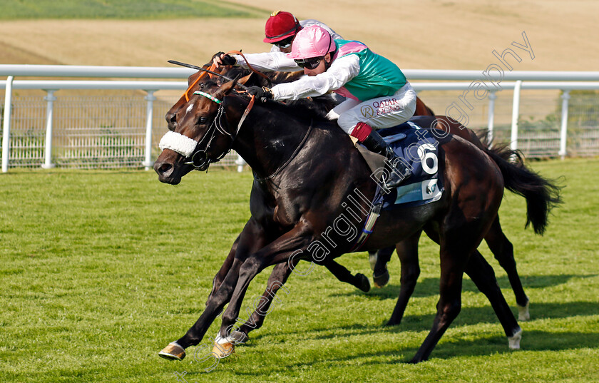 Jouncy-0002 
 JOUNCY (Oisin Murphy) wins The British Stallion Studs EBF Maiden Stakes
Goodwood 30 Jul 2024 - Pic Steven Cargill / racingfotos.com