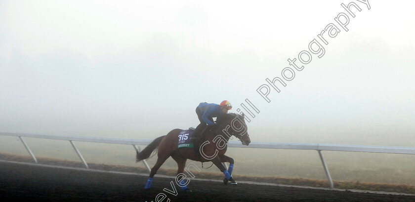 Mishriff-0005 
 MISHRIFF (Frankie Dettori) training for the Breeders' Cup Turf
Keeneland USA 3 Nov 2022 - Pic Steven Cargill / Racingfotos.com