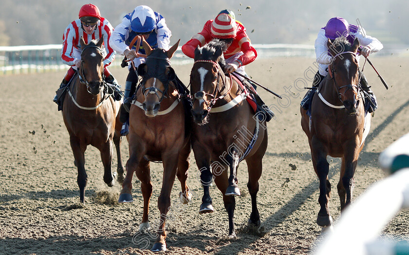 Exceeding-Power-0007 
 EXCEEDING POWER (2nd right, George Wood) beats PETITE JACK (left) and COSMEAPOLITAN (right) in The Betway Casino Handicap
Lingfield 23 Feb 2019 - Pic Steven Cargill / Racingfotos.com