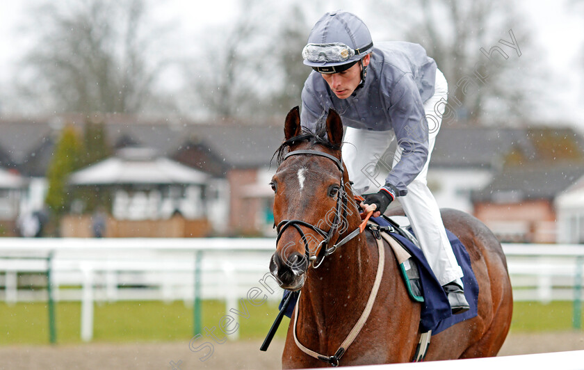 Behind-The-Wall-0001 
 BEHIND THE WALL (Kieran Shoemark)
Lingfield 15 Feb 2020 - Pic Steven Cargill / Racingfotos.com