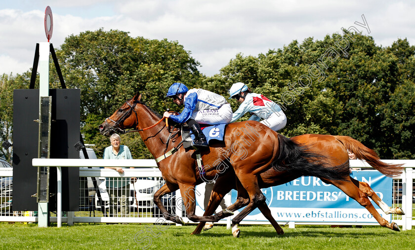 Seneca-Chief-0002 
 SENECA CHIEF (Jack Mitchell) wins The Venture Security Handicap
Salisbury 11 Aug 2021 - Pic Steven Cargill / Racingfotos.com