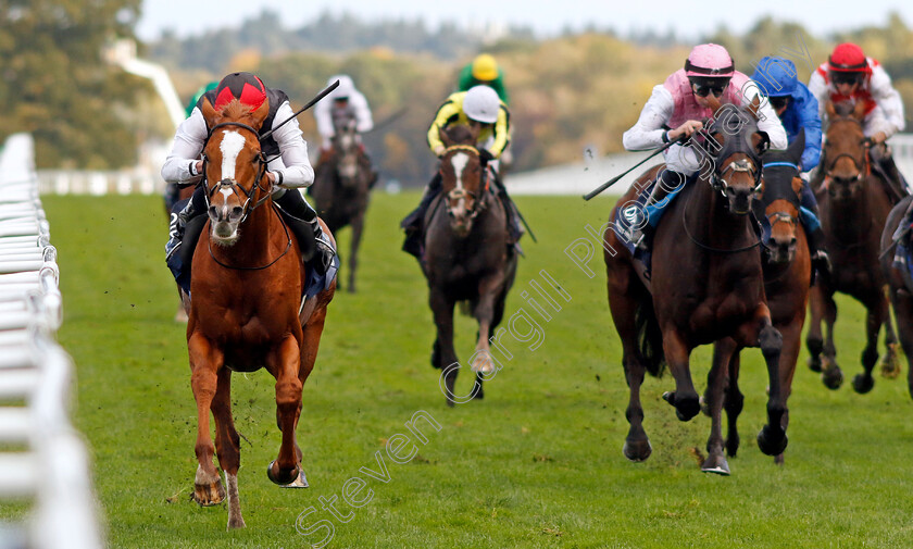 Kyprios-0003 
 KYPRIOS (Ryan Moore) wins The Qipco British Champions Long Distance Cup
Ascot 19 Oct 2024 - Pic Steven Cargill / Racingfotos.com