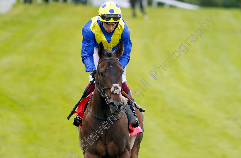 Mount-Teide-0002 
 MOUNT TEIDE (Oisin Murphy)
Sandown 15 Jun 2024 - Pic Steven Cargill / Racingfotos.com