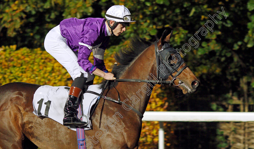 Sweet-Melody 
 SWEET MELODY (Christian Howarth)
Kempton 10 Nov 2021 - Pic Steven Cargill / Racingfotos.com